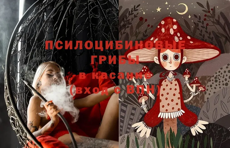 наркошоп  Солнечногорск  Галлюциногенные грибы Psilocybe 